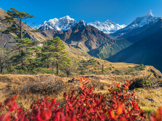 view to valley Khumbu and summits Everest and Ama Dablam through red leaves in clear sunny day