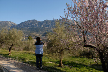 woman in an almond orchard photographing landscape across valley, near Balones, Alicante Province, Spain