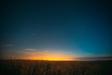 Night Starry Sky With Glowing Stars Above Countryside Landscape. Light Cloudiness Overcast Above Rural Field Meadow In Summer