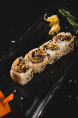 Perfect Sushi Japanese Asian Seafood Food Dish Menu Gourmet Restaurant Chef on Dark Background