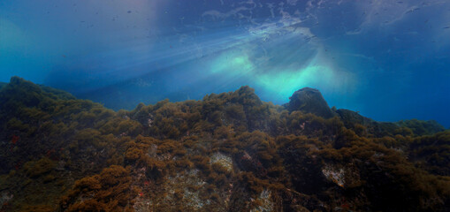 Obraz premium Alien ship arriving underwater in rays of light 