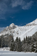 Fototapeta na wymiar dachstein südflanke im winter mit schnee von ramsau gesehen mit ski touren spuren