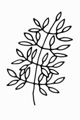 Hand-drawn herbs. Simple vector illustration of plants in doodle style.