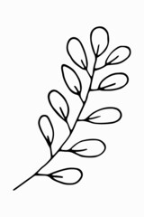 Hand-drawn herbs. Simple vector illustration of plants in doodle style.