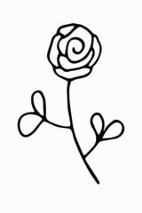 Hand-drawn linear rose. Simple vector illustration of a flower in doodle style.