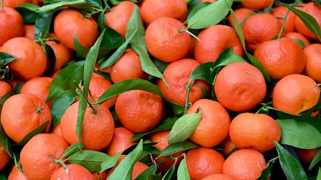 Fresh mandarins on fruit market, close up. Boxes full of ripe mandarin oranges for sale. Fresh fruit display in shop. Juicy mandarin at the greengrocer's stall. 