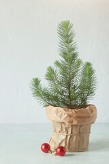Fototapeta premium Mini Christmas tree on the white wall background