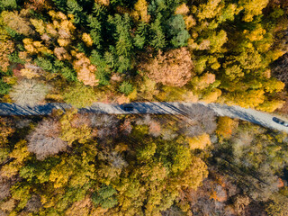 Aerial view of road in autumn forest. Fall landscape with road, red, yellow and green trees. Cars passing on road. High quality photo