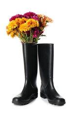 Rubber boots and beautiful autumn flowers on white background