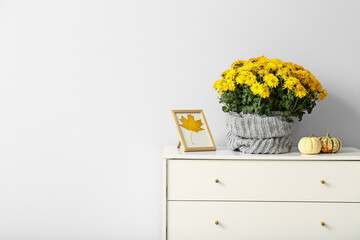 Pot with beautiful Chrysanthemum flowers and frame on chest of drawers near light wall