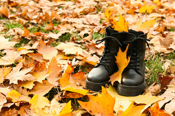 Stylish shoes and fallen leaves in autumn park