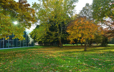 Naklejka premium Dessau, Germany, autumn season and view to the park and the new Bauhaus museum