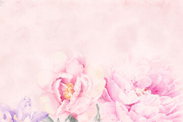 Obraz na płótnie Canvas Beautiful rose peony flower illustration