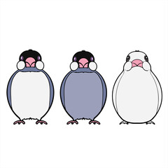 Naklejka premium Java Sparrows