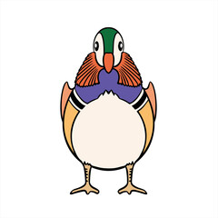 Mandarin Duck