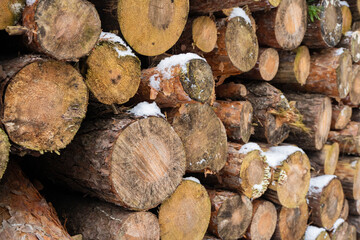 drewno, ścięte drzewa, ścięte drzewa ułożone w lesie, ścięte drzewa zimą, las zimą,...