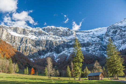 Cirque du Fer &agrave; Cheval, Sixt-fer-&agrave;-cheval, Haute Savoie, France