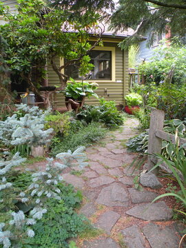 Landscaping, residential, Portland