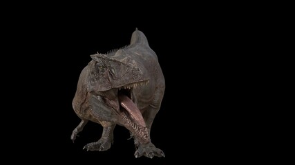 Hybrid Giganotosaurus Cinematic roar animation of background, 3d rendering