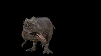 Hybrid Giganotosaurus Cinematic roar animation of background, 3d rendering