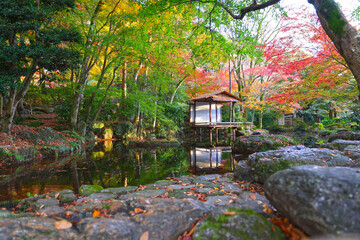 岐阜公園-秋の風景