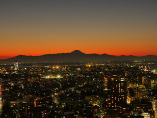 Obraz premium キャロットタワー展望台からの富士山と街並みの夜景