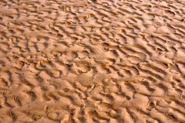 Waves of sand in a empty beach