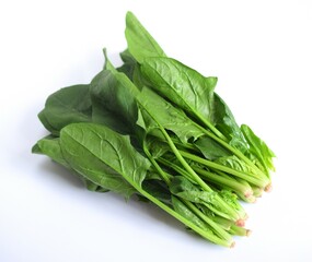 フレッシュなホウレン草、ほうれん草、白背景