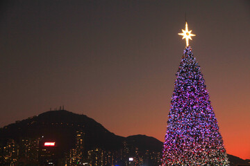 Christmas Tree Decoration in West Kowloon Cultural District, Hong Kong - obrazy, fototapety, plakaty
