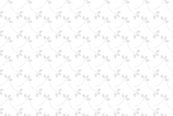 植物　ボタニカル　背景　フレーム