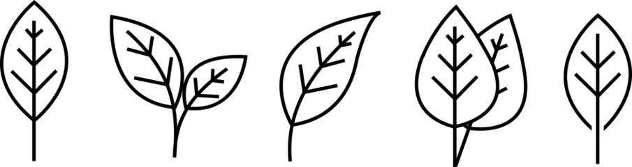 Leaf simple icon set. Vector
