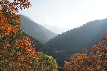 山