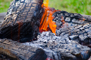 Fire burning on wood, image in close-up.