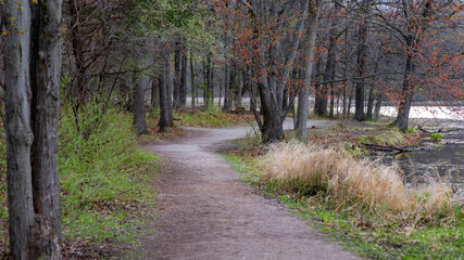 Scenic woodland walking trail in rural Michigan