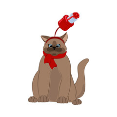 Cat in christmas holiday hat and scarf