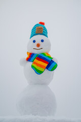 Snow man. Happy smiling snowman on sunny winter day. Winter clothes, knitted hat and scarf.