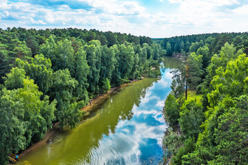 Fototapeta premium The river is separate and surrounded by forest. Berdsk, Russia