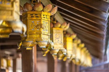 Fototapeta na wymiar 京都　 光明寺の秋