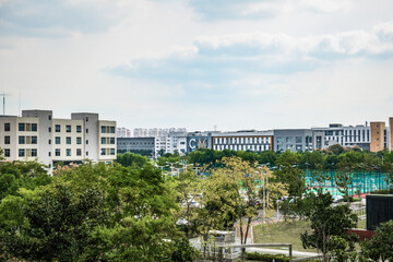 City park under blue sky with Downtown Skyline in the Background