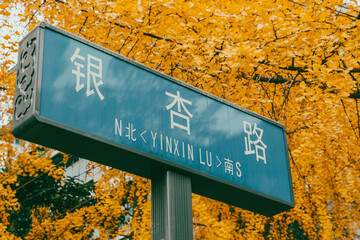 Street sign for Yinxin Road in Chengdu, China with Ginkgo trees and leaves in background - Chinese...