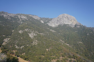Fototapeta na wymiar カリフォルニア州　セコイア国立公園　風景