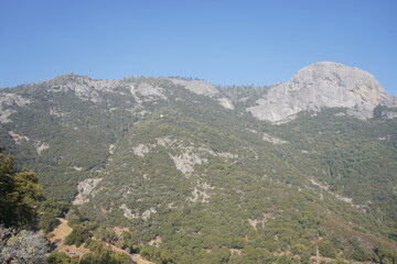 Naklejka premium カリフォルニア州 セコイア国立公園 景色