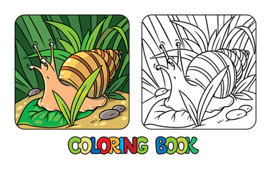 Funny snail Kids coloring book Vector illustration