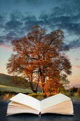 Stunning vibrant Autumn Fall landscape of countryside in Lake District coming out of pages in book composite image