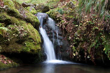 Lunga esposizione di cascata du ruscello con foglie secche nel sottobosco d'Aspromonte