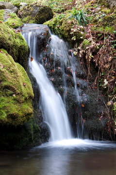 Lunga esposizione di cascata du ruscello con foglie secche nel sottobosco d'Aspromonte