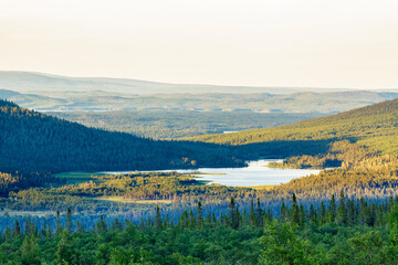 Forest lake in the Nordic wilderness