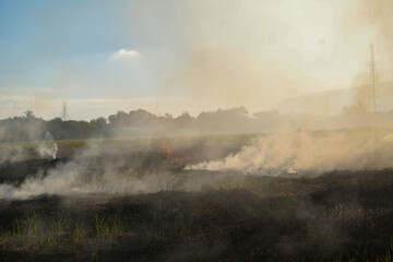 Fototapeta na wymiar Farmers burn dry rice straw in dried fields
