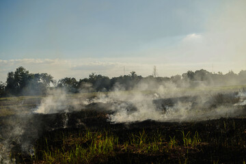 Fototapeta na wymiar Farmers burn dry rice straw in dried fields
