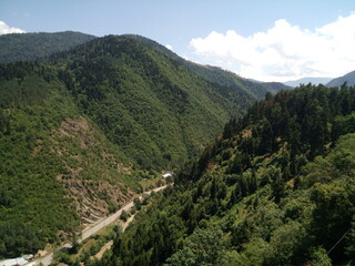 landscape in the summer